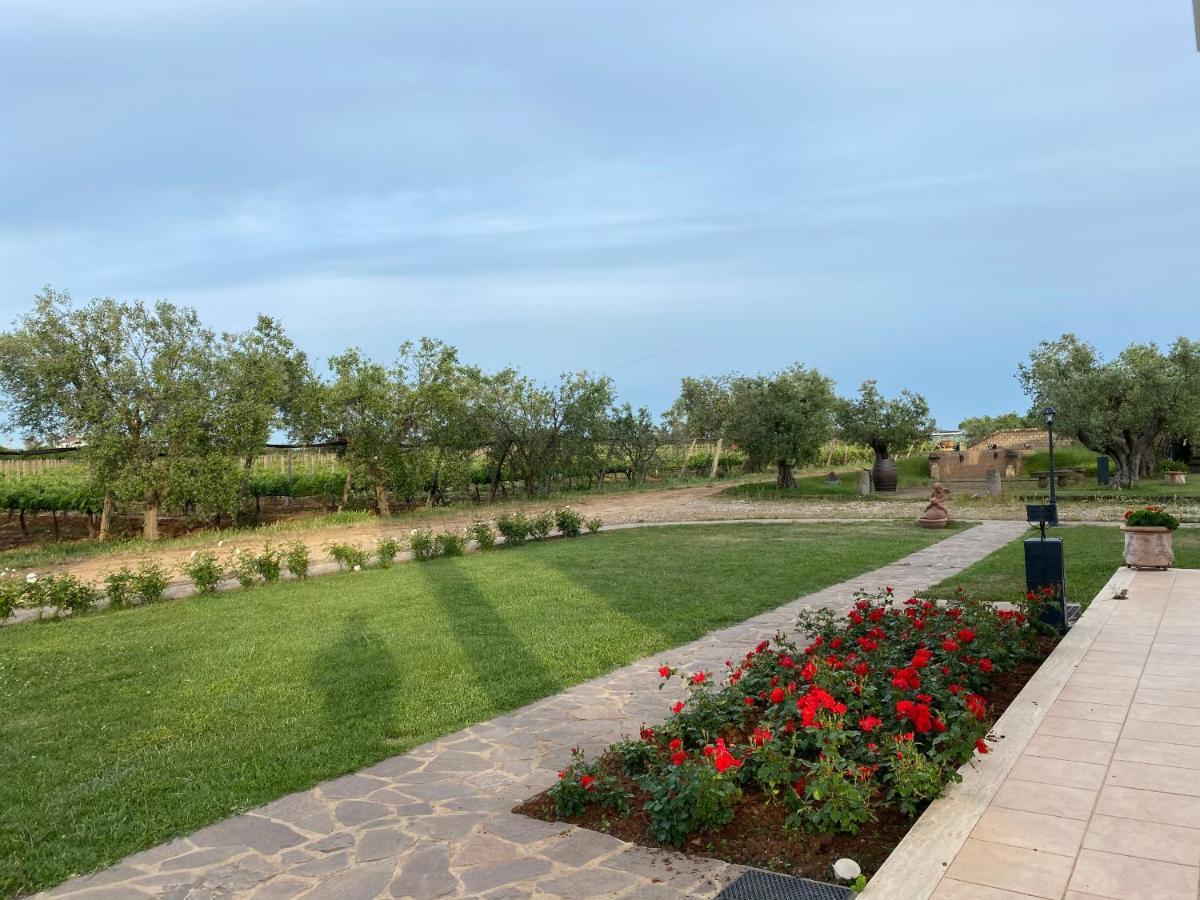 Villa Olga Tarquinia Exteriér fotografie