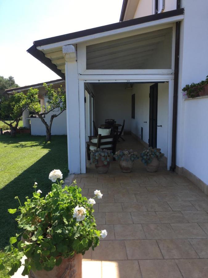 Villa Olga Tarquinia Exteriér fotografie