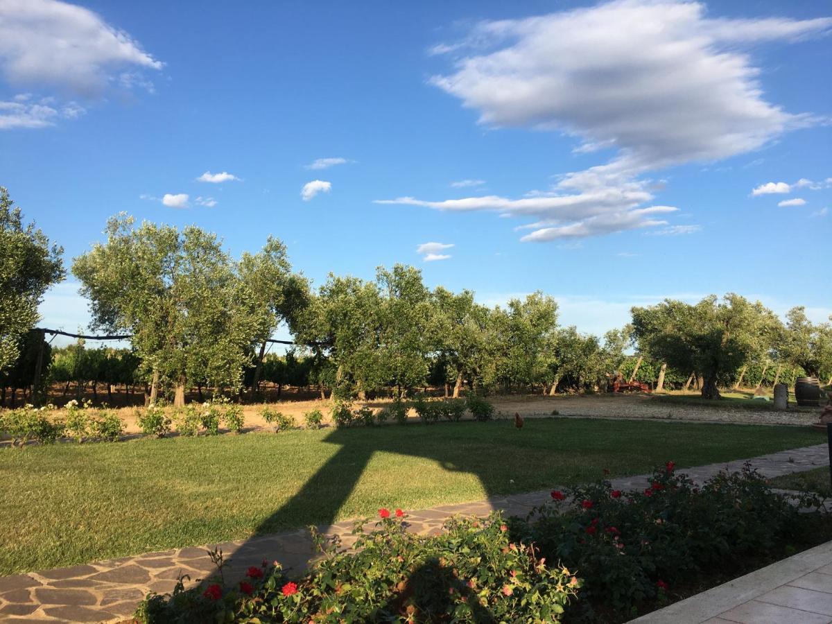 Villa Olga Tarquinia Exteriér fotografie