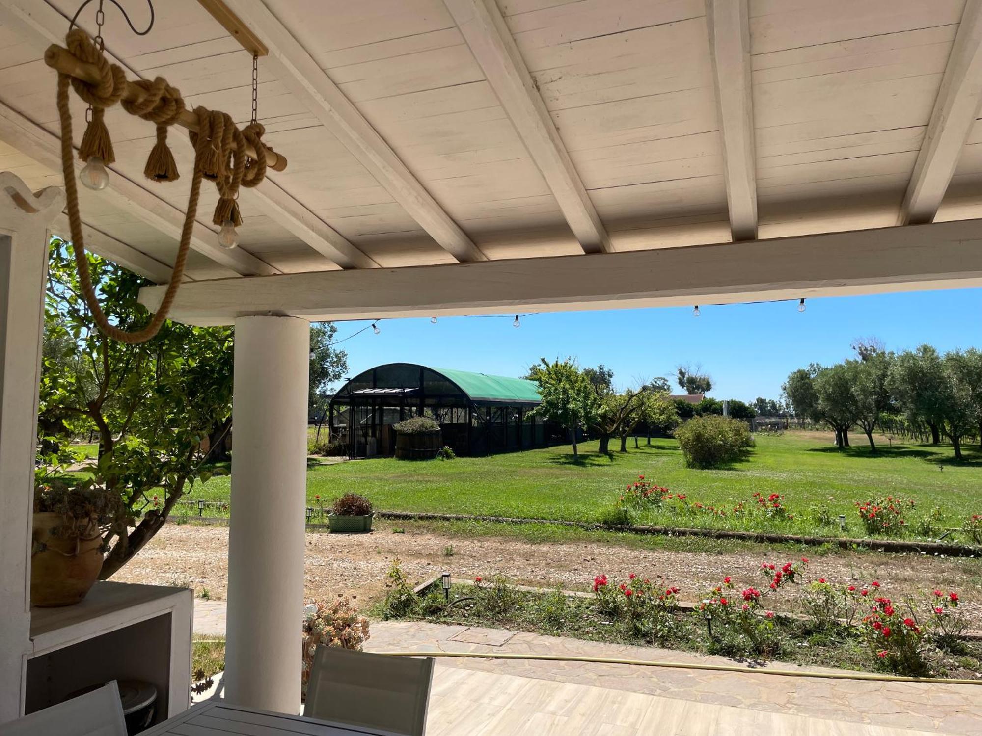 Villa Olga Tarquinia Exteriér fotografie