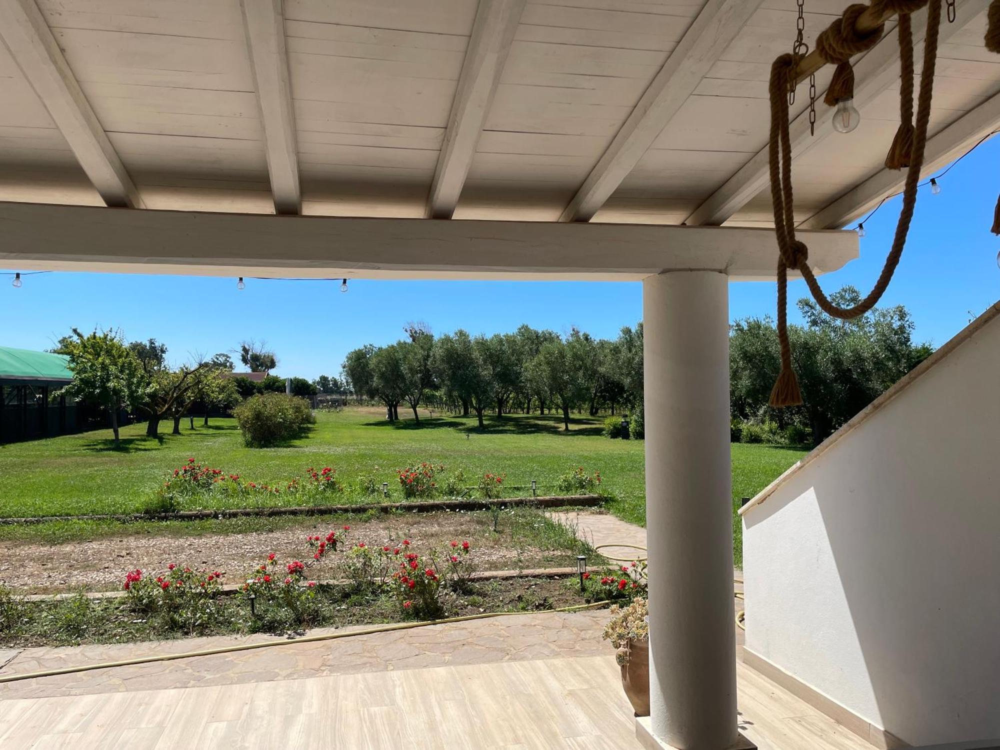 Villa Olga Tarquinia Exteriér fotografie
