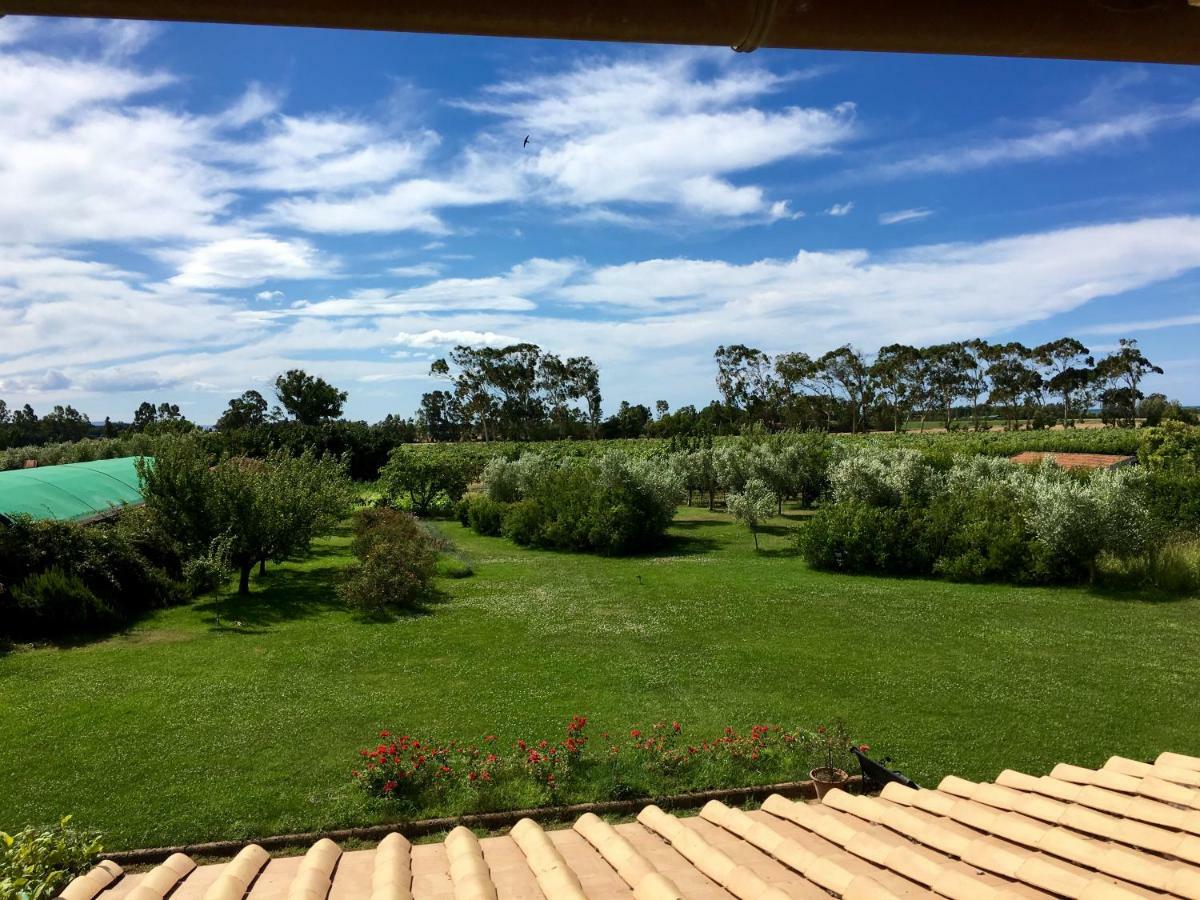 Villa Olga Tarquinia Exteriér fotografie